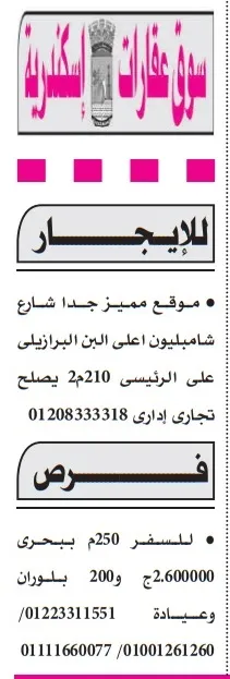 عقارات للإيجار والبيع في الإسكندرية – فرص استثمارية مميزة 2025
