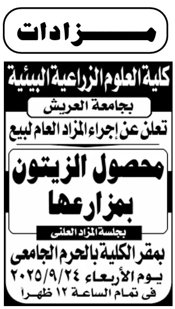 مزايدة علنية لبيع محصول الزيتون بكلية العلوم الزراعية البيئية بالعريش 2025