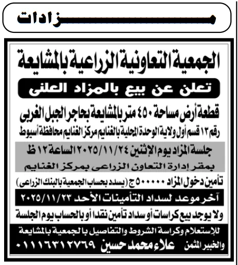 مزاد الجمعية التعاونية الزراعية بالمشايعة – أسيوط - جلسة 2025/11/24