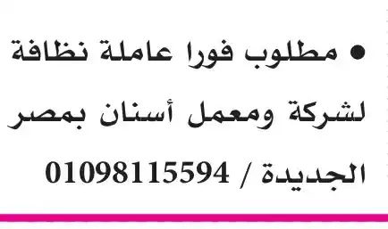 وظائف خالية في مصر اليوم – محاسب ومحاسبة لشركة مقاولات وعاملة نظافة لشركة ومعمل أسنان-2025