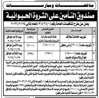 صندوق التأمين على الثروة الحيوانية يعلن عن طرح مناقصات لتوريد أعلاف وعجول وأغنام