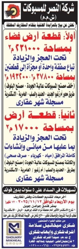 شركة النصر للمسبوكات تطرح مزايدة لبيع قطعتي أرض فضاء بمساحة 21000 متر