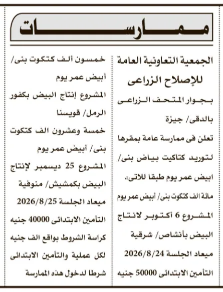 ممارسة الجمعية التعاونية العامة للإصلاح الزراعي لتوريد كتاكيت بياض بني وأبيض عمر يوم 2026