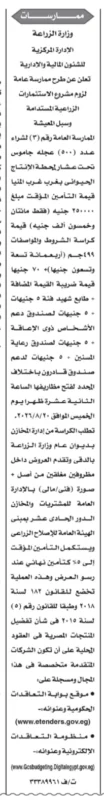 شراء 500 عجلة جاموس تحت عشار 
وزارة الزراعة تطرح ممارسة عامة لدعم مشروع الاستثمارات الزراعية المستدامة