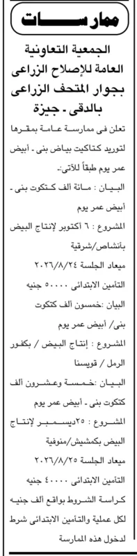 ممارسة الجمعية التعاونية العامة للإصلاح الزراعي 2026 لتوريد كتاكيت بياض عمر يوم لمشروعات إنتاج البيض